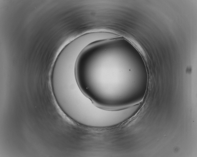 X0000094070813200711091150