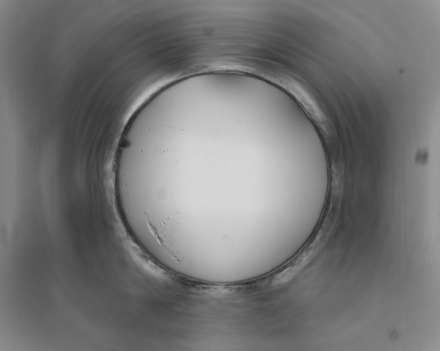 X0000094070814200711091150
