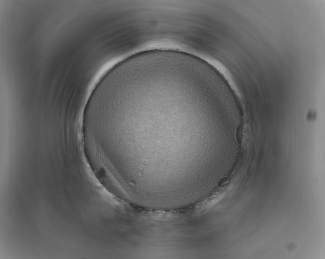 X0000094070815200711091150