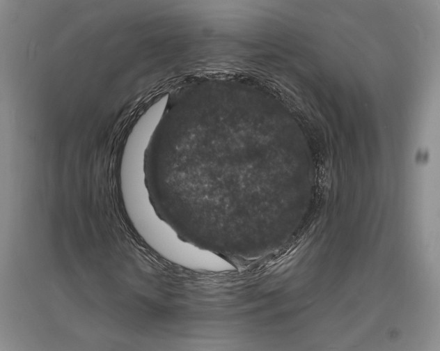 X0000094070818200711091149