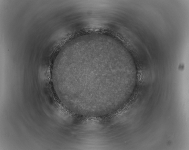 X0000094070820200711091149