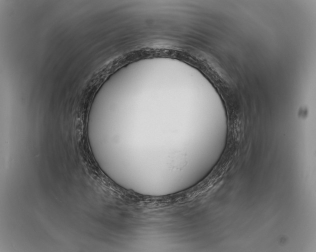 X0000094070821200711091149