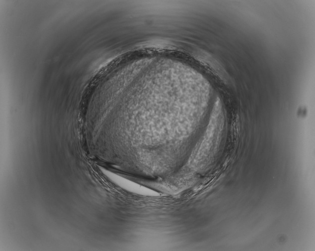 X0000094070822200711091149