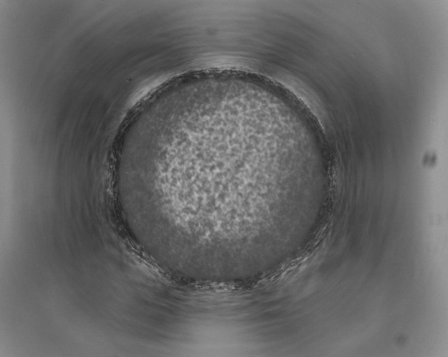 X0000094070823200711091149