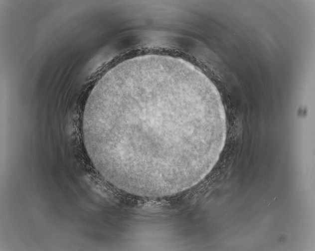 X0000094070824200711091149