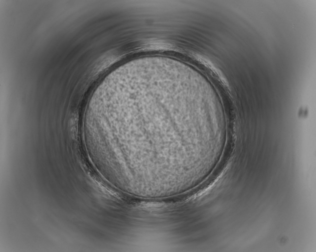 X0000094070825200711091149