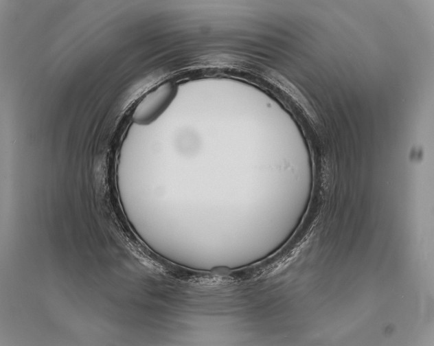 X0000094070826200711091149
