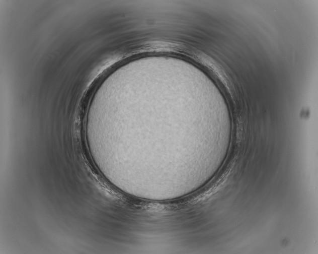 X0000094070827200711091149