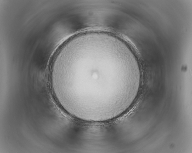 X0000094070828200711091149