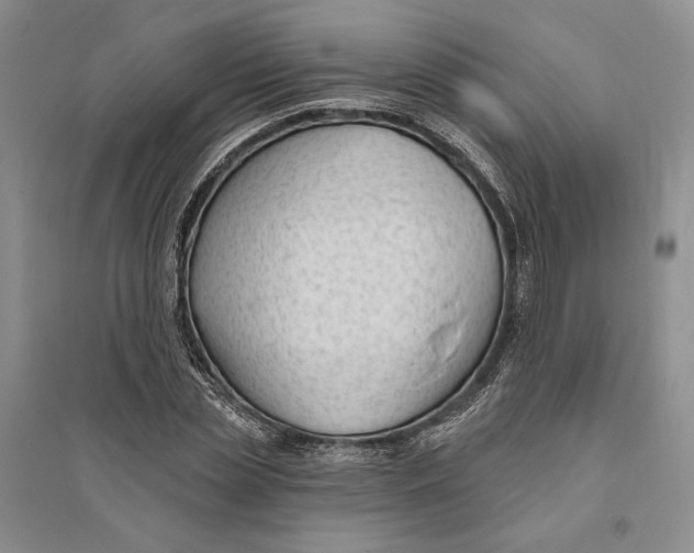 X0000094070829200711091150