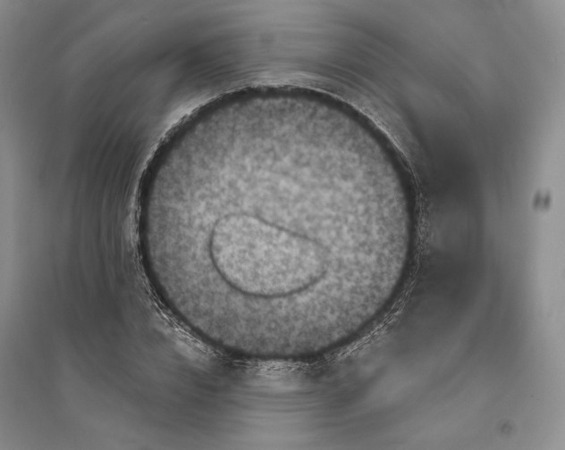 X0000094070832200711091150
