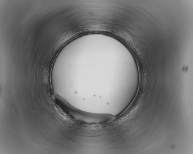 X0000094070833200711091150