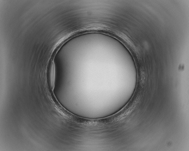 X0000094070834200711091150
