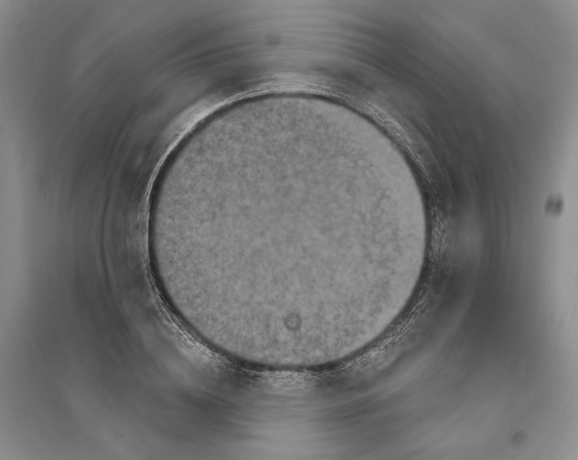 X0000094070836200711091150
