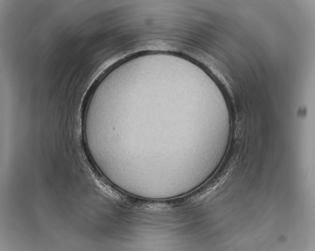 X0000094070837200711091150