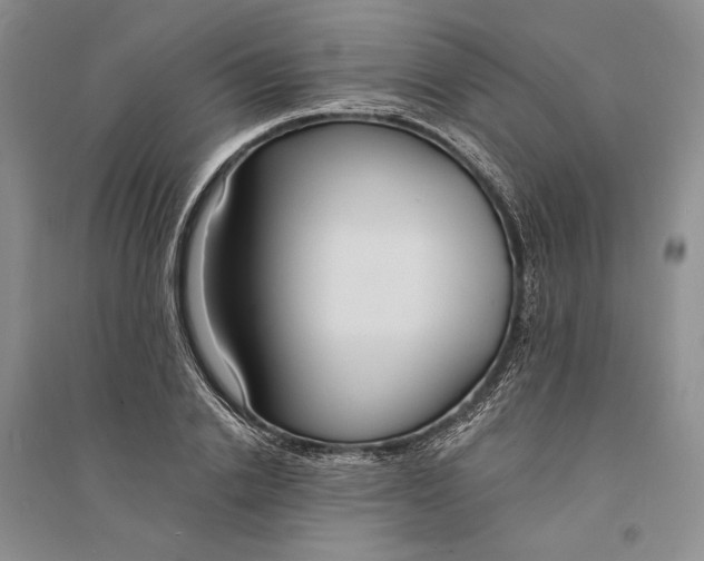 X0000094070838200711091150
