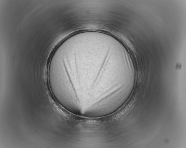 X0000094070839200711091150