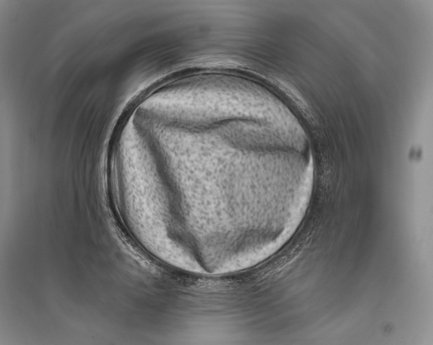 X0000094070840200711091150