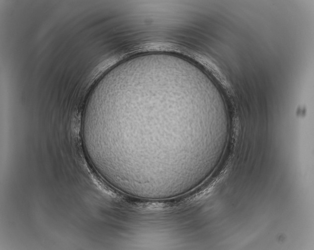 X0000094070841200711091150