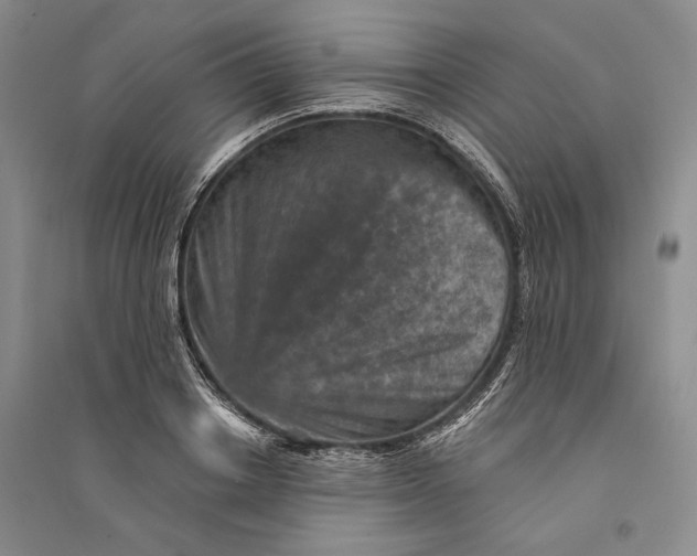 X0000094070842200711091150