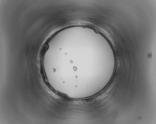 X0000094070843200711091150