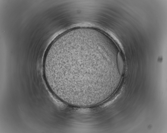 X0000094070845200711091150