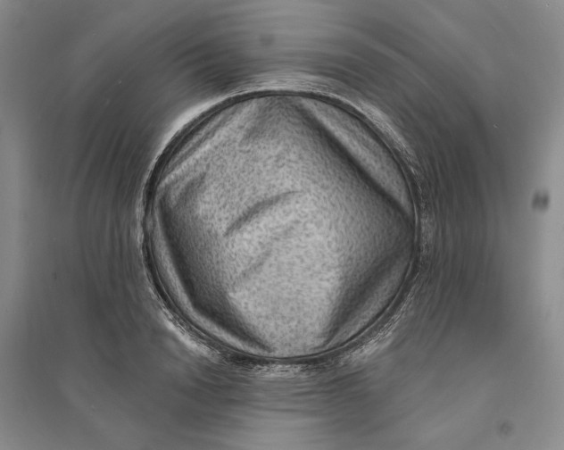 X0000094070846200711091150