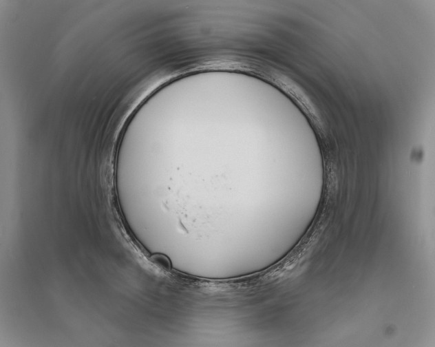 X0000094070852200711091150