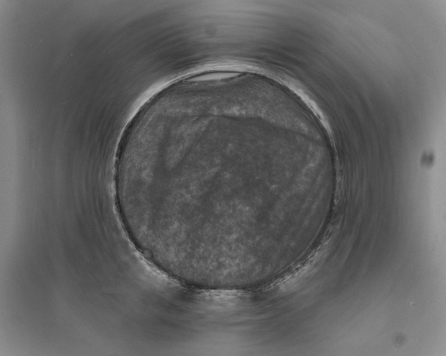 X0000094070853200711091150