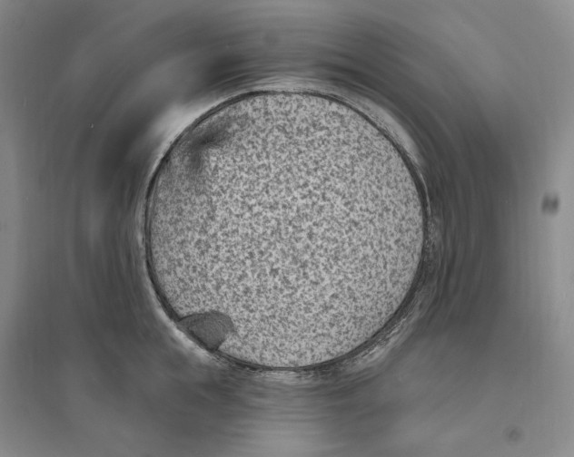 X0000094070855200711091150