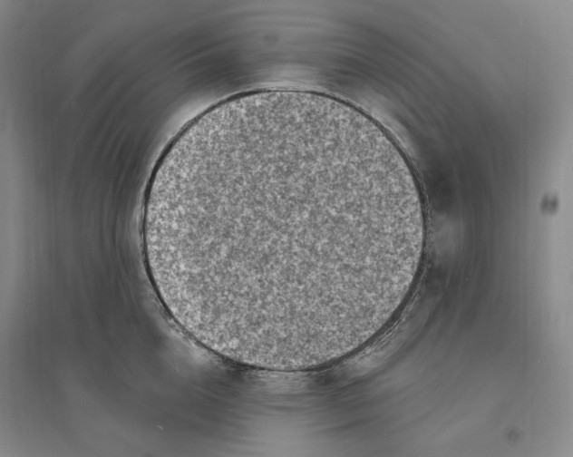 X0000094070856200711091150