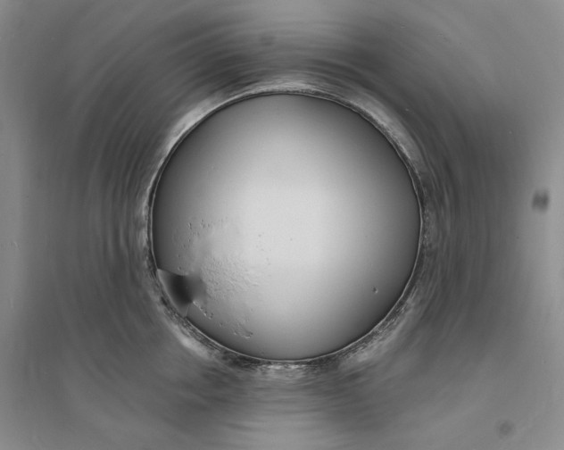 X0000094070858200711091150