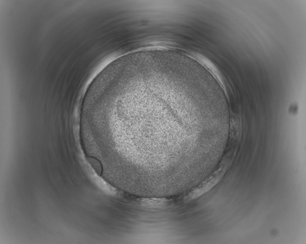 X0000094070859200711091150