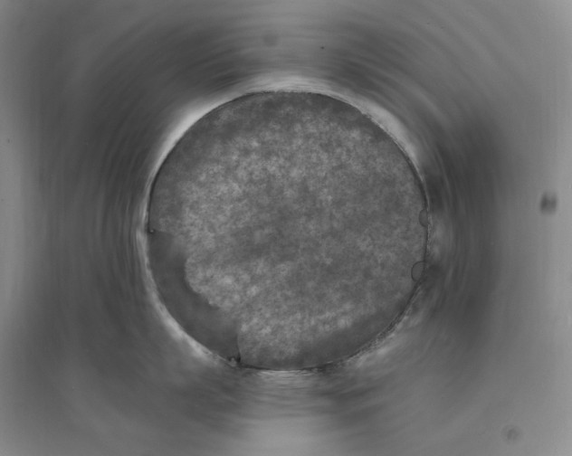 X0000094070863200711091150