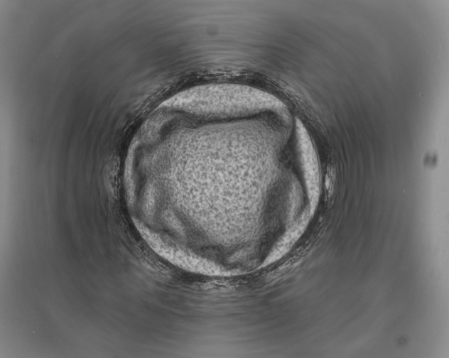 X0000094070867200711091149