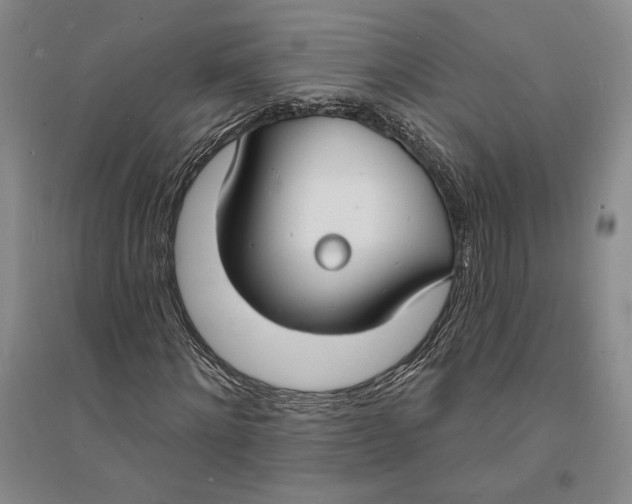 X0000094070868200711091149