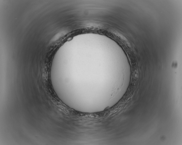 X0000094070869200711091149