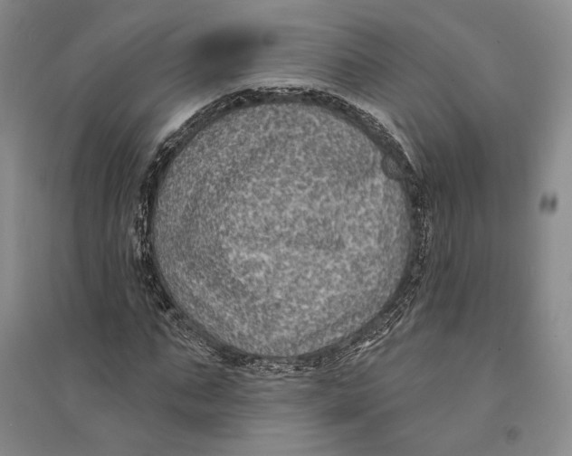 X0000094070871200711091149