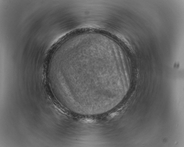 X0000094070872200711091149