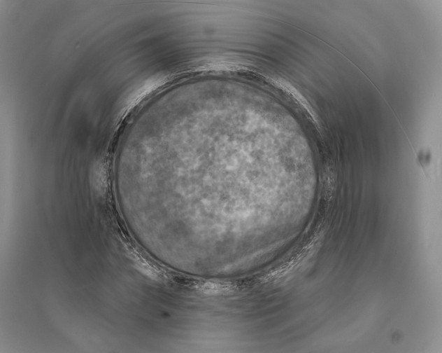 X0000094070874200711091149