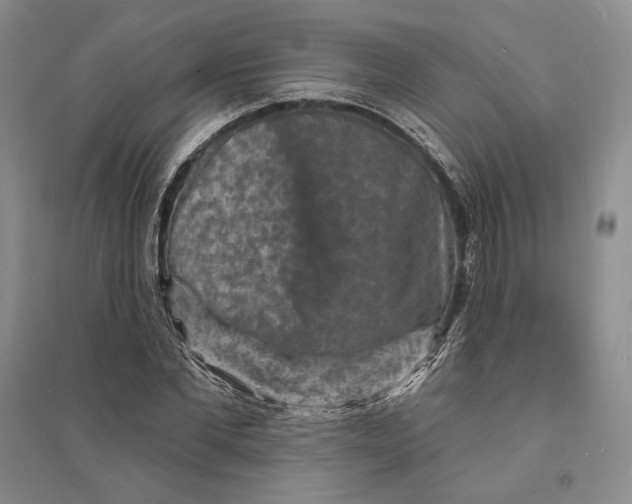 X0000094070877200711091149