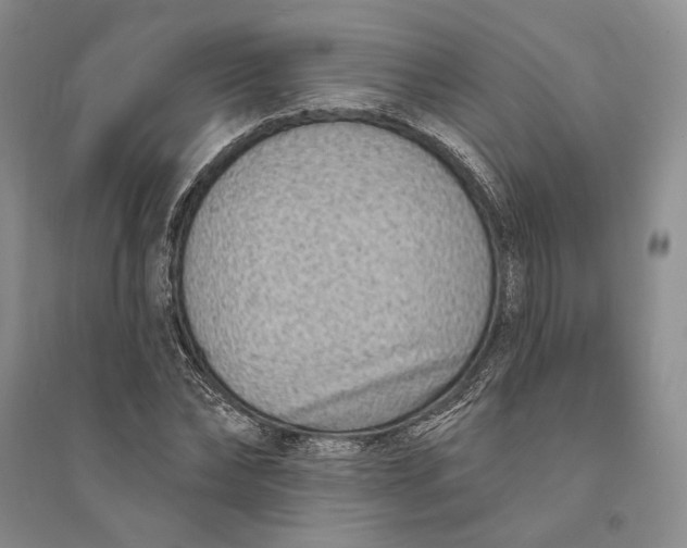 X0000094070878200711091149
