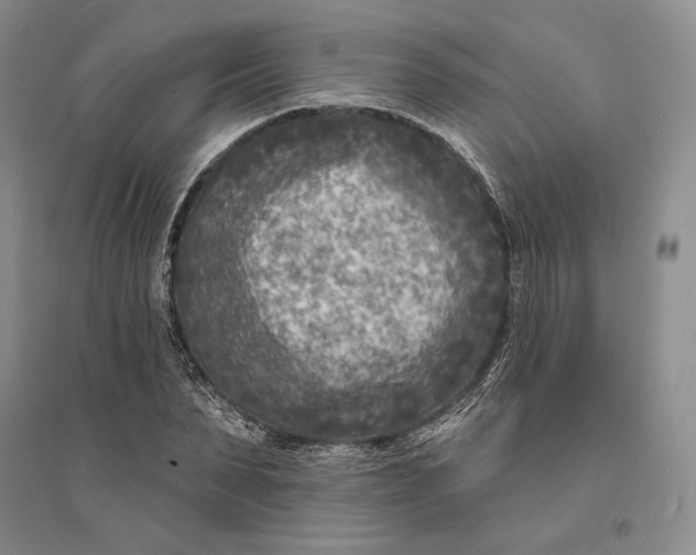 X0000094070879200711091149