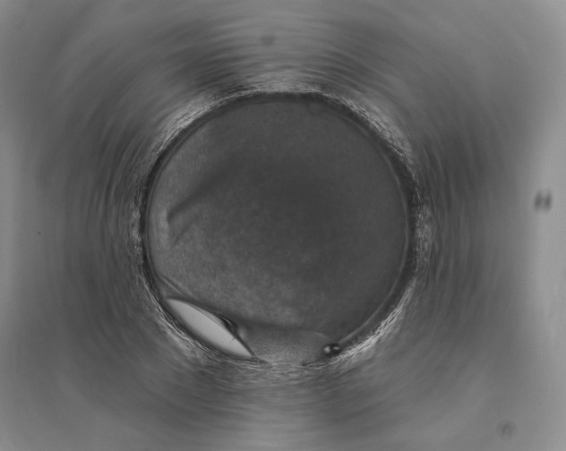 X0000094070881200711091149
