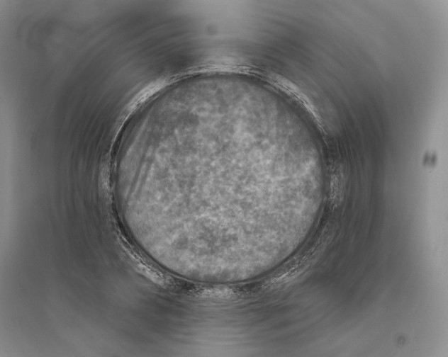 X0000094070882200711091149