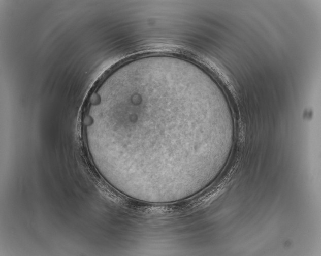 X0000094070883200711091149