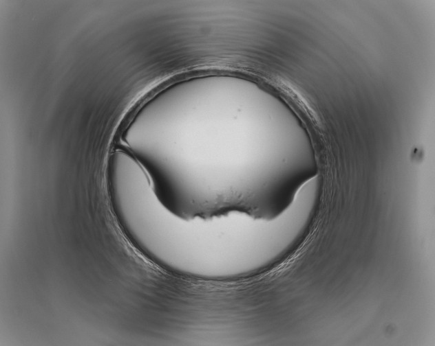 X0000094070884200711091149