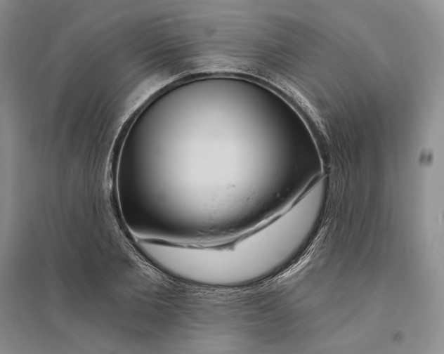 X0000094070885200711091149