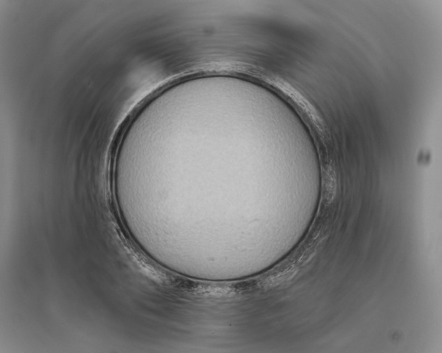 X0000094070886200711091149