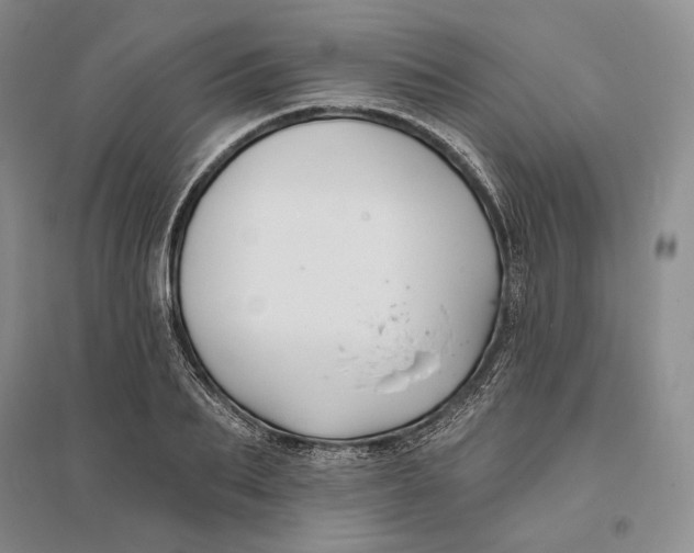 X0000094070887200711091149